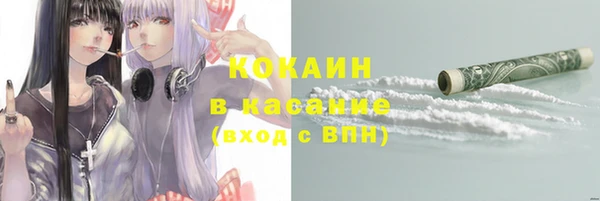 Альфа ПВП Аркадак