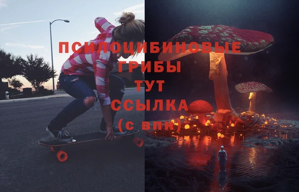 Альфа ПВП Аркадак