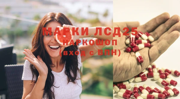гашик Осташков